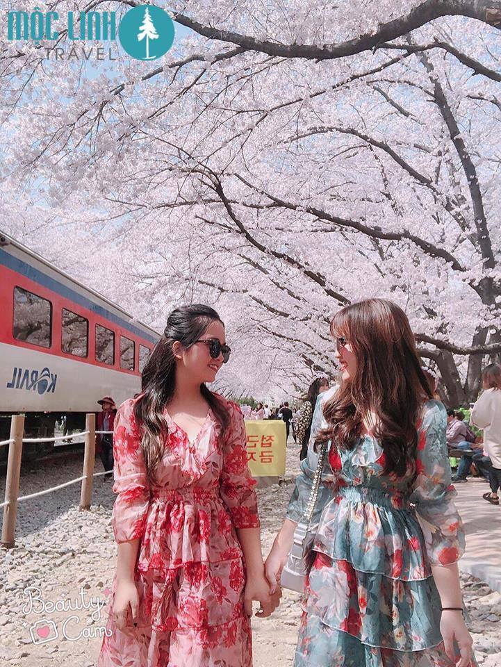 THE SINH TOURISTS