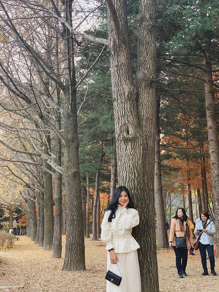 THE SINH TOURISTS