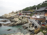 THE SINH TOURISTS