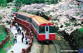 THE SINH TOURISTS