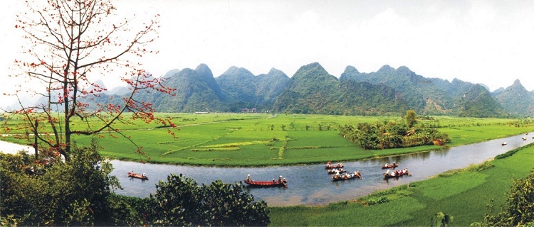 THE SINH TOURISTS