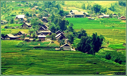 THE SINH TOURISTS
